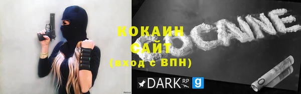 стаф Корсаков