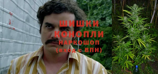 стаф Корсаков