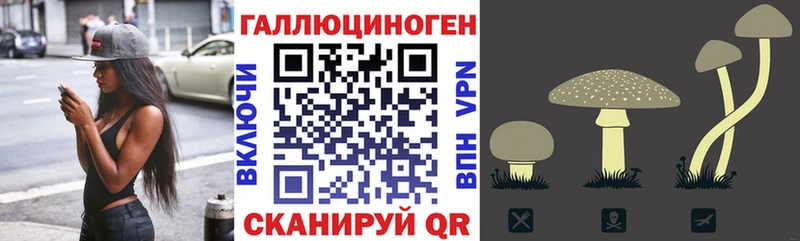 Купить закладки  Первоуральск  Псилоцибиновые грибы Psilocybe 